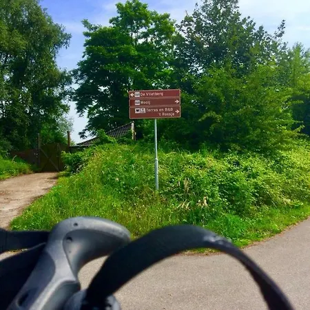 Mooij