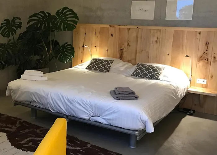 住宿加早餐酒店 Mooij 3*