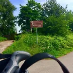 Mooij
